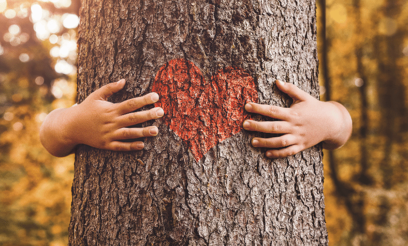 sylvothérapie arbre