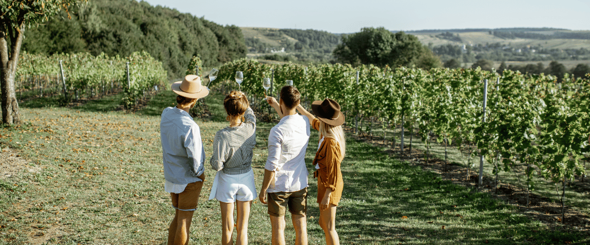 Vignoble français